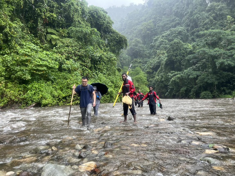 万水千山只等闲，践行六讲勇向前 ——所罗门金岭水电站项目勘察工作侧记